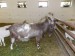 DSCN4087_1